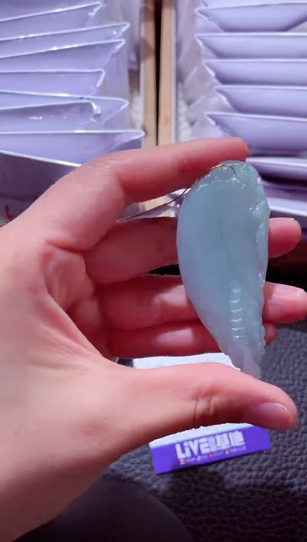 颈饰未镶嵌翡翠00009126