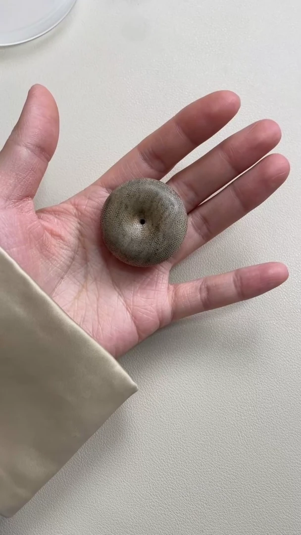 【闪购商品】沉香吊坠越南平安扣大