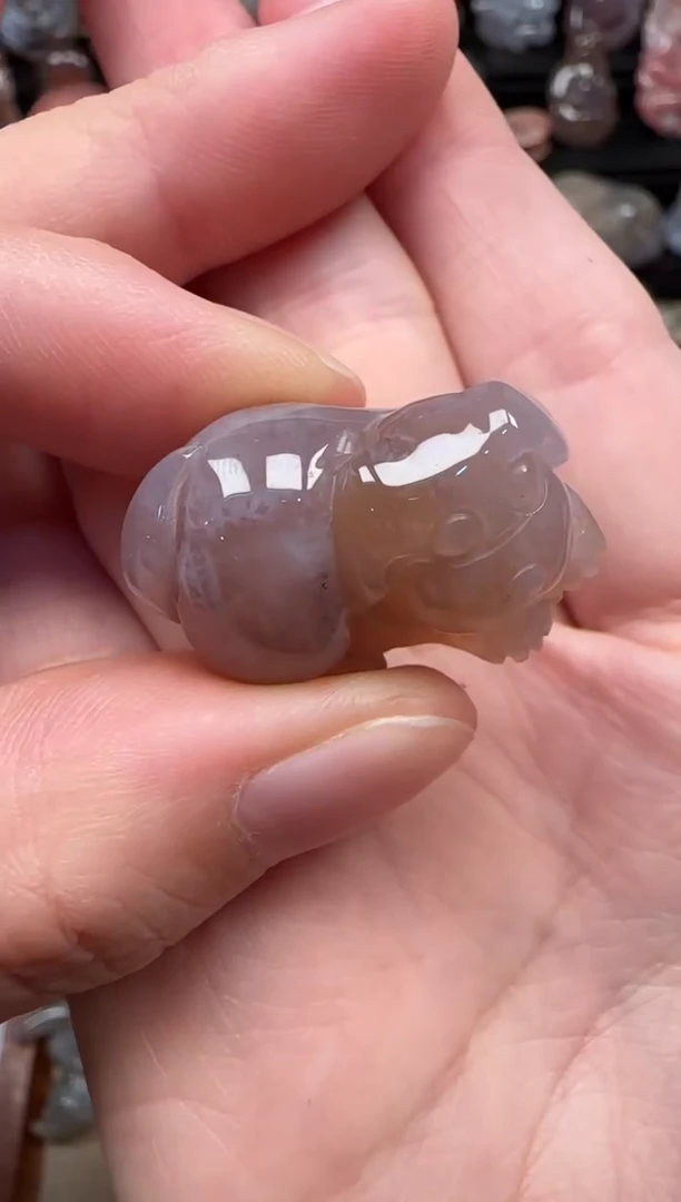 颈饰未镶嵌硅化珊瑚（珊瑚玉）162