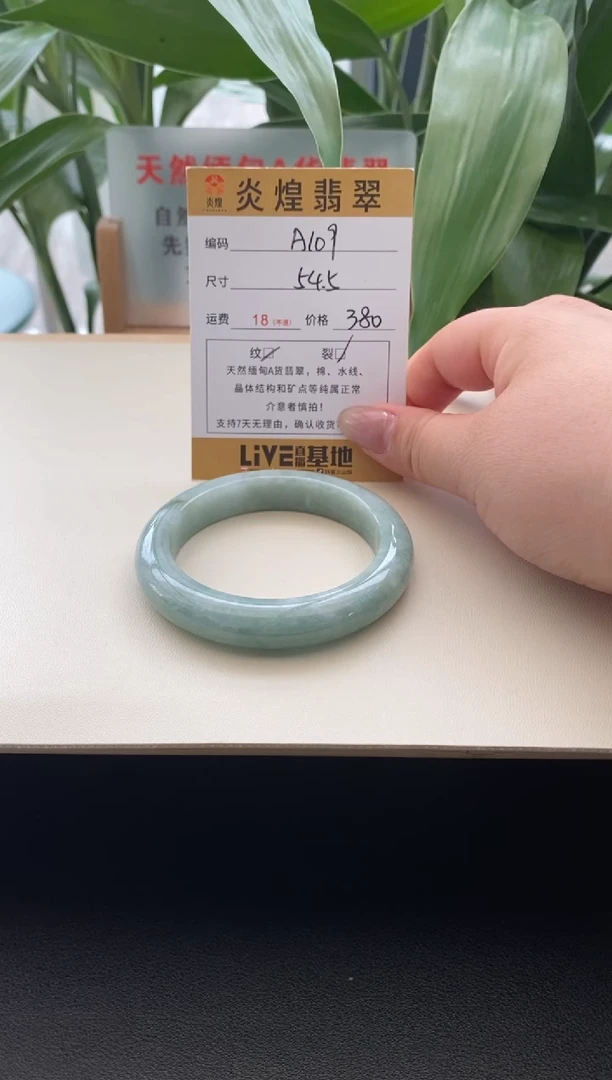 未镶嵌手镯翡翠圈口54.5编码A109