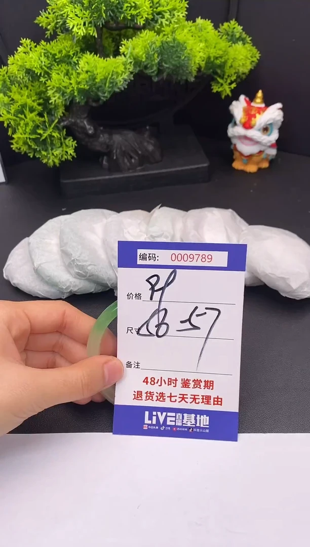 未镶嵌手镯翡翠0009789
