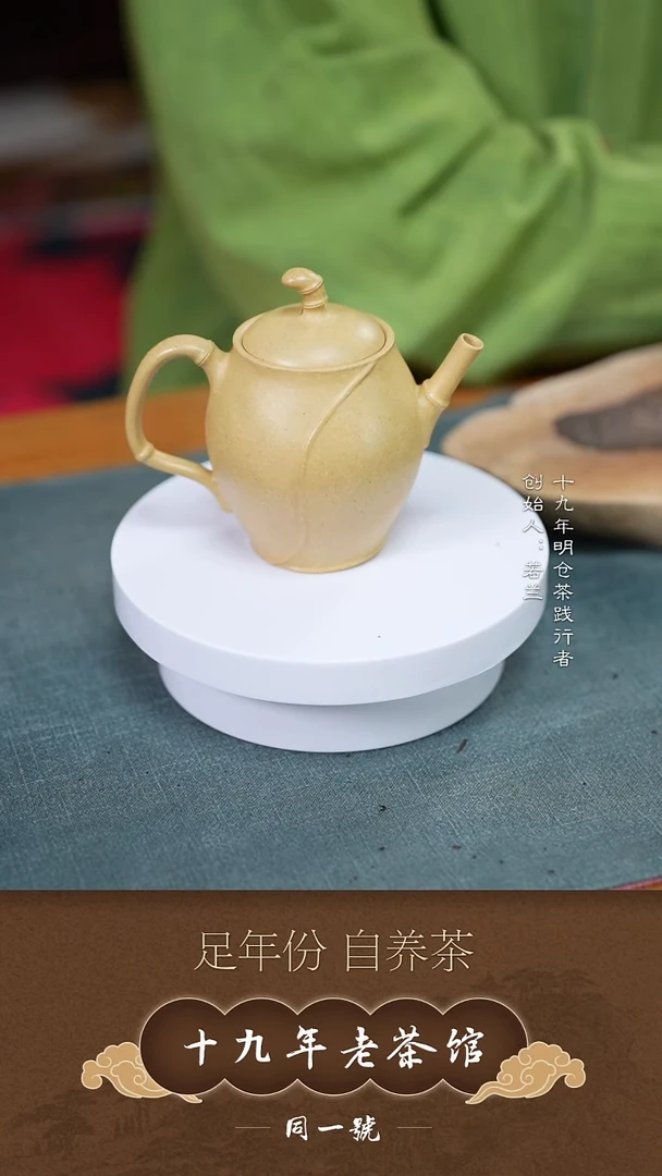 茶壶紫砂宜兴原矿紫砂壶一把