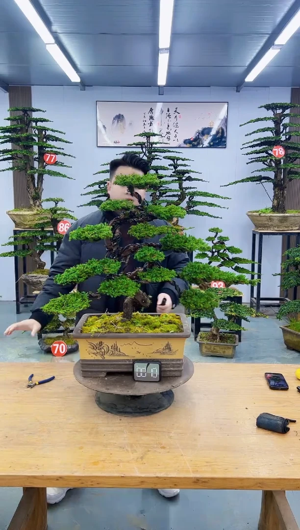 以实际为准00000000