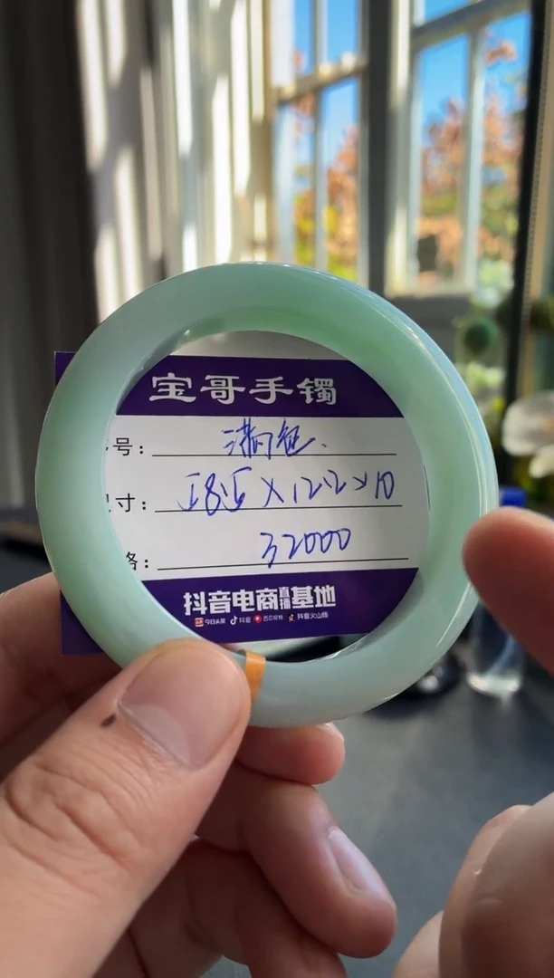 未镶嵌手镯翡翠翡翠手镯