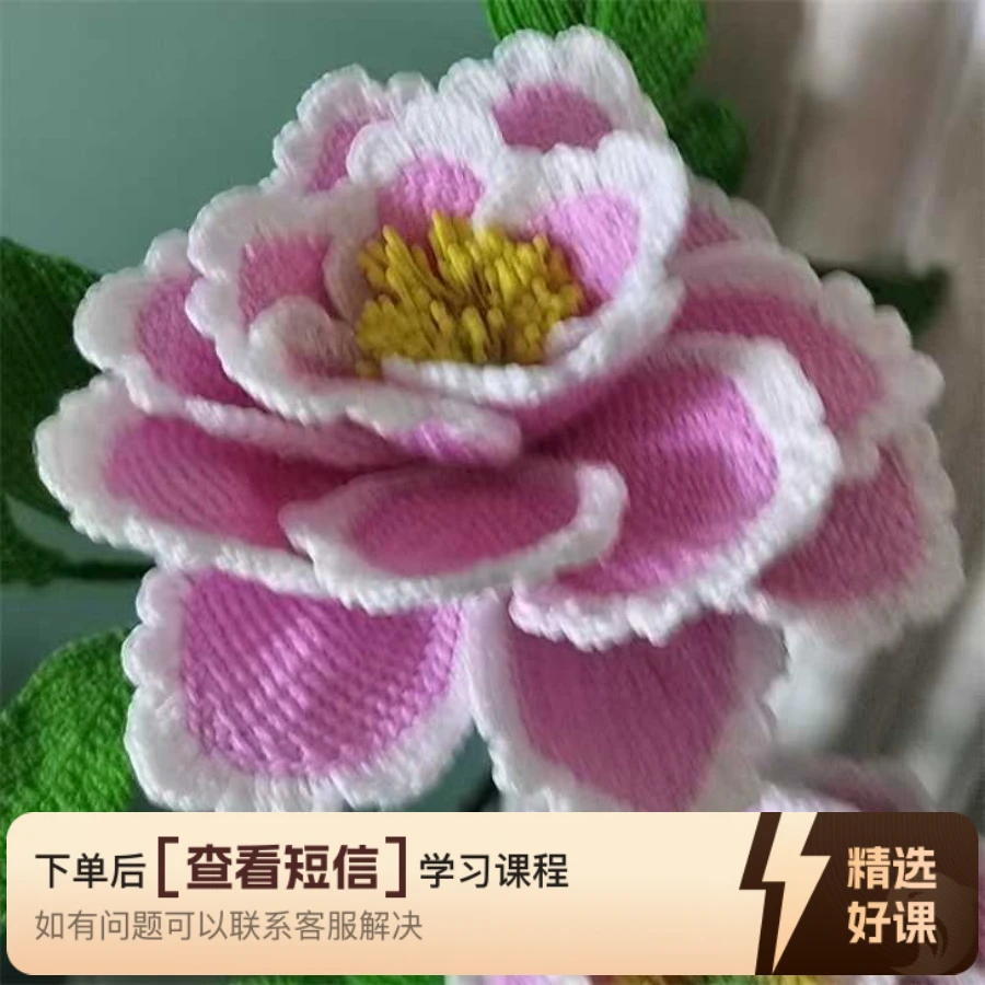多种花叶分享给你（留意短信解锁课程）