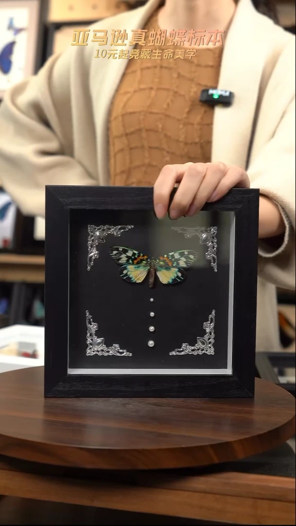 华庆锦斑蛾巴洛克风格6寸方框