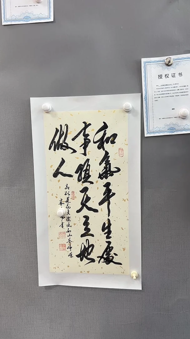 【闪购商品】书法雅艺典藏文化书法