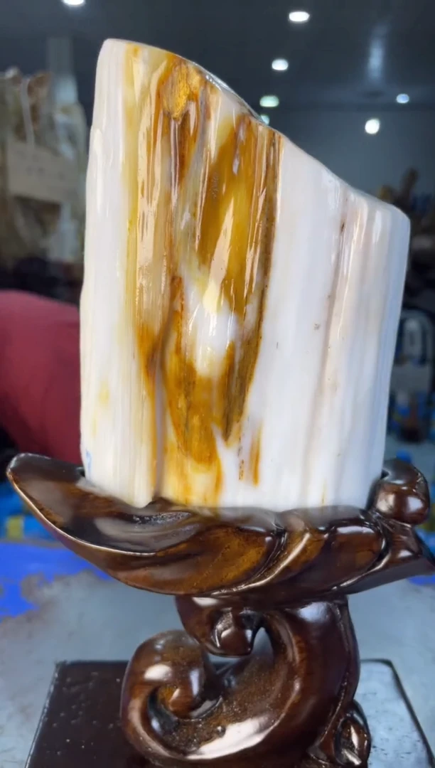 未镶嵌摆件硅化玉5