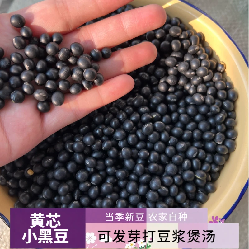 【2斤小黑豆】农家自种新货黄芯生黑豆五谷杂粮泡醋煮粥打豆浆煲汤