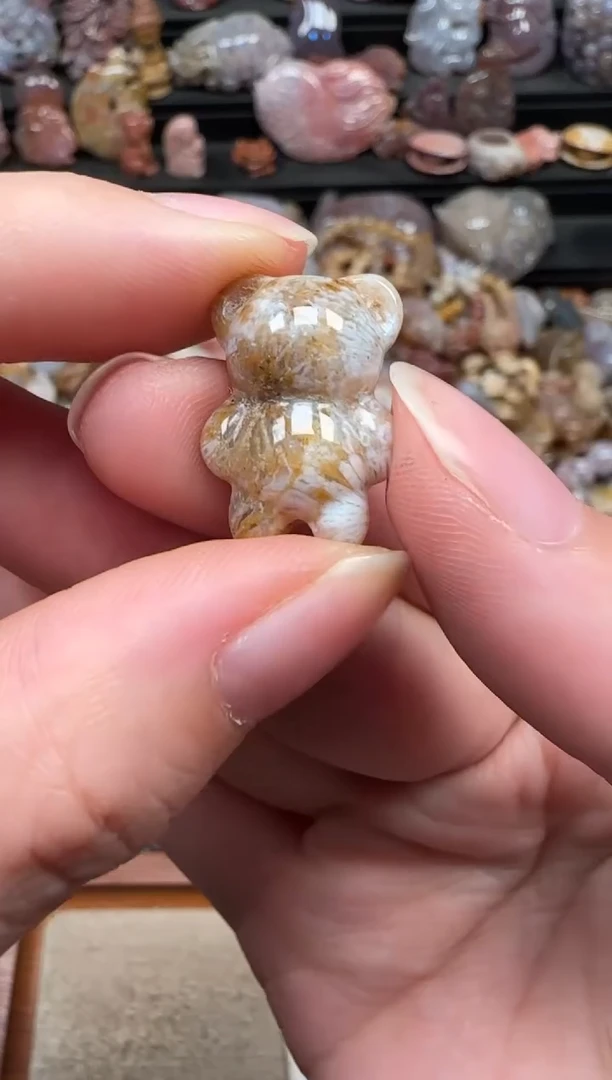颈饰未镶嵌硅化珊瑚（珊瑚玉）525