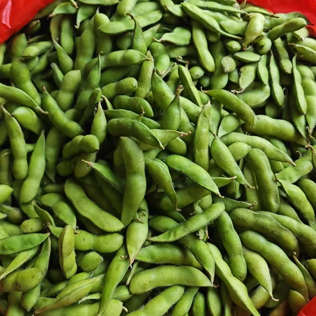 【毛豆】江西新鲜带壳毛豆农家美味食材