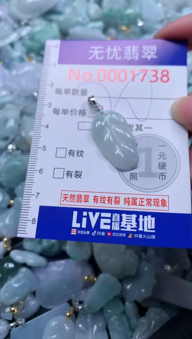 颈饰未镶嵌翡翠1738