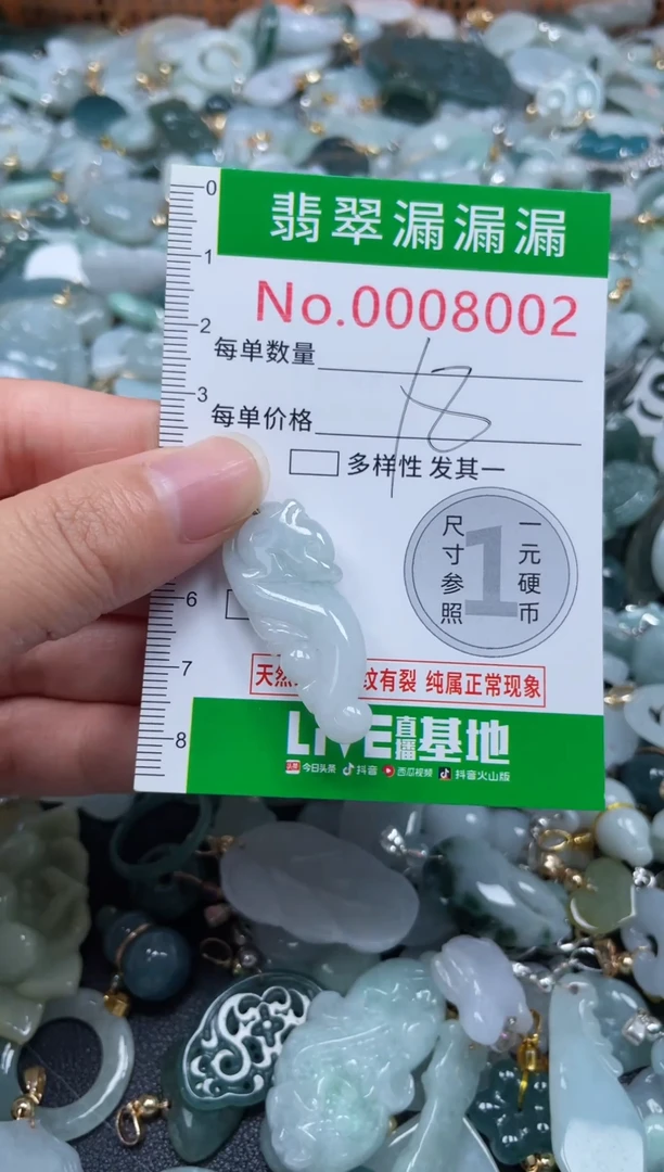 颈饰未镶嵌翡翠8002