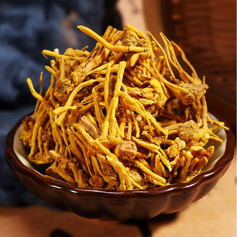 金龙须◎黄龙根雪域黄龙草正品 雪山龙须石斛金龙根