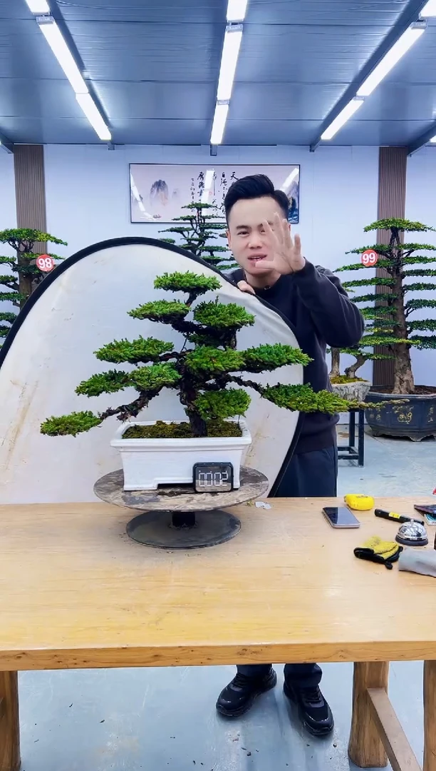 无花朵0000000000000000