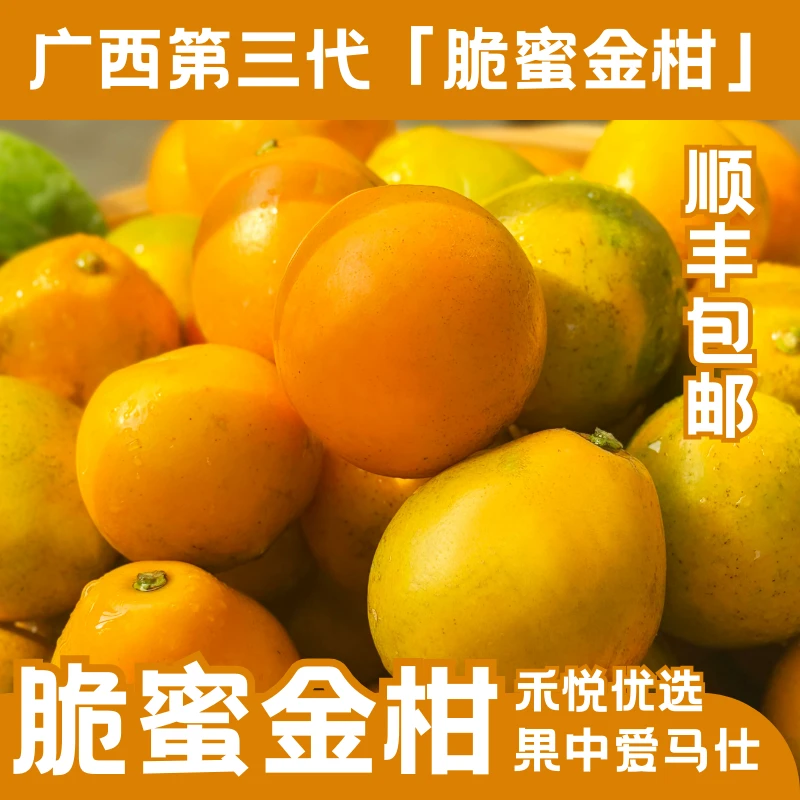 广西融安脆蜜金柑新鲜当季无籽独立包装孕妇爱吃水果