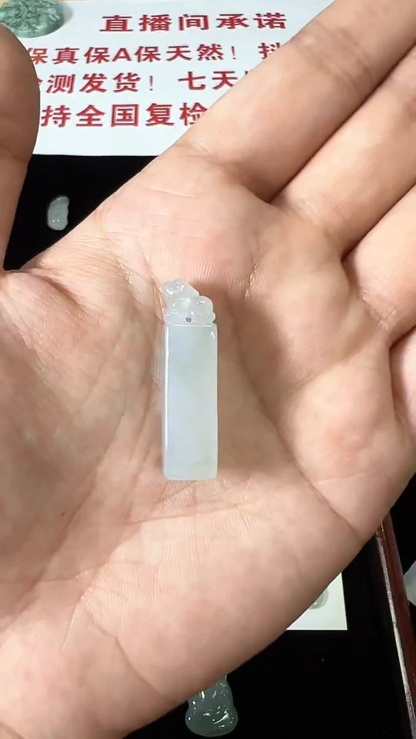 翡翠未镶嵌颈饰A17