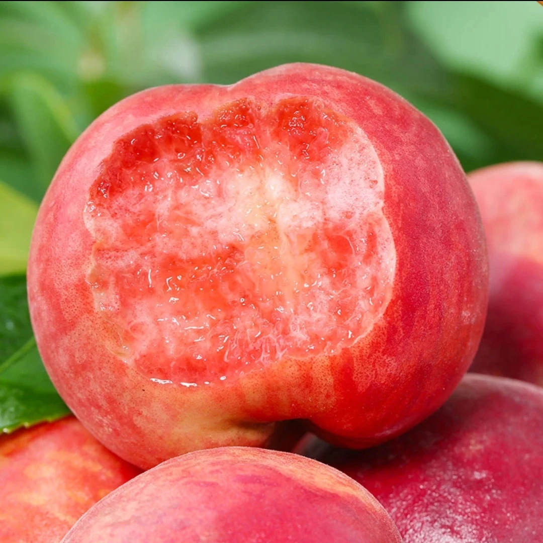 【软硬两吃】正宗山东血丝蜜桃春雪水蜜桃应季水果桃子 3/4斤