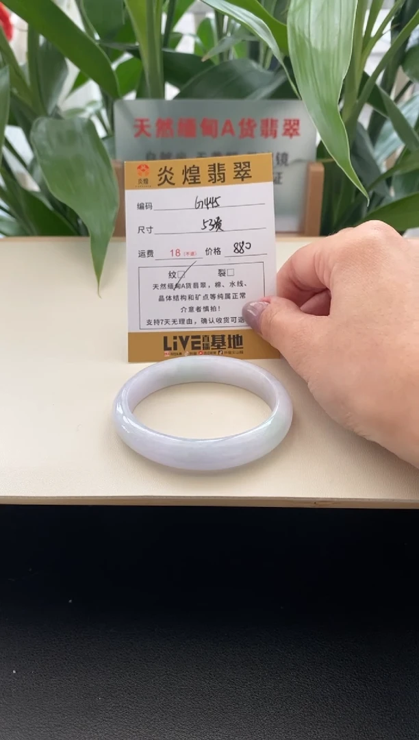 未镶嵌手镯翡翠7圈口53贵妃编码G445