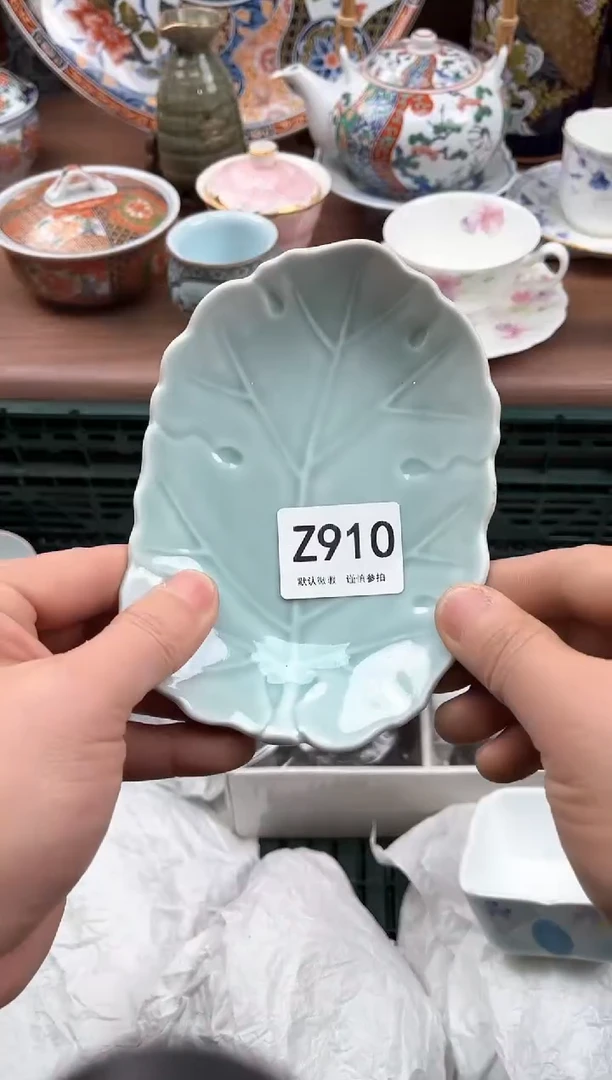 【闪购商品】瓷片910