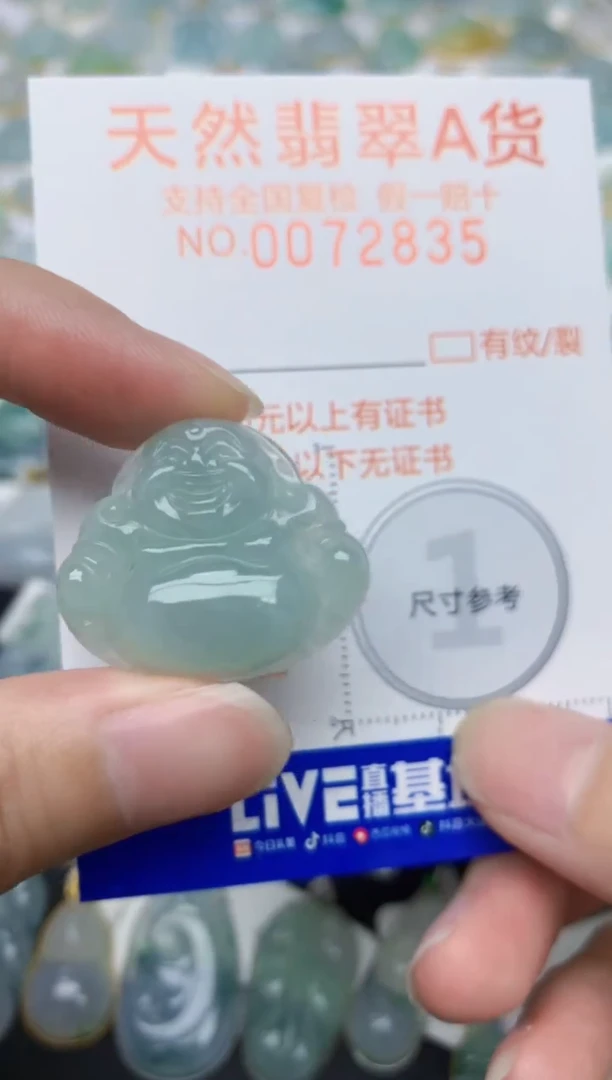 翡翠未镶嵌颈饰天然A货翡翠