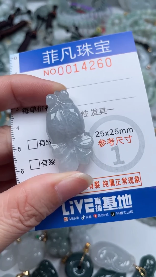 颈饰未镶嵌翡翠14260