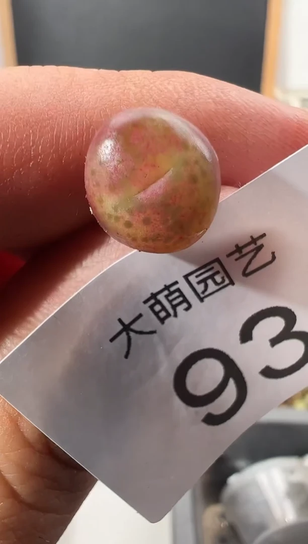 【闪购商品】+++++93