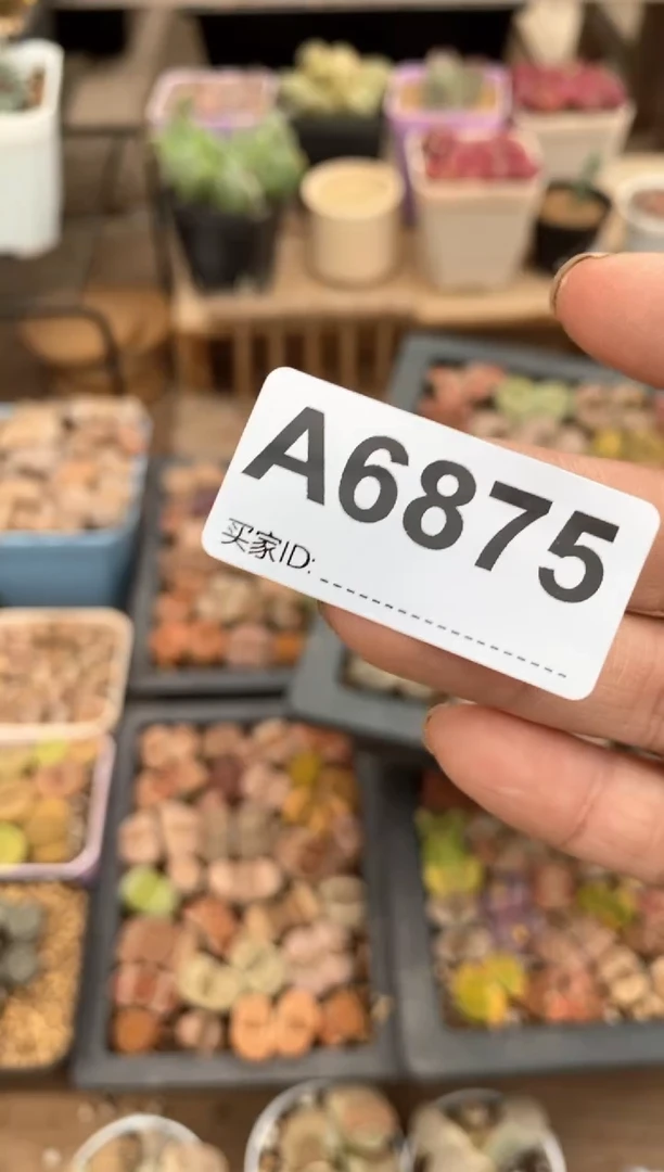 【闪购商品】6875直播一物一拍