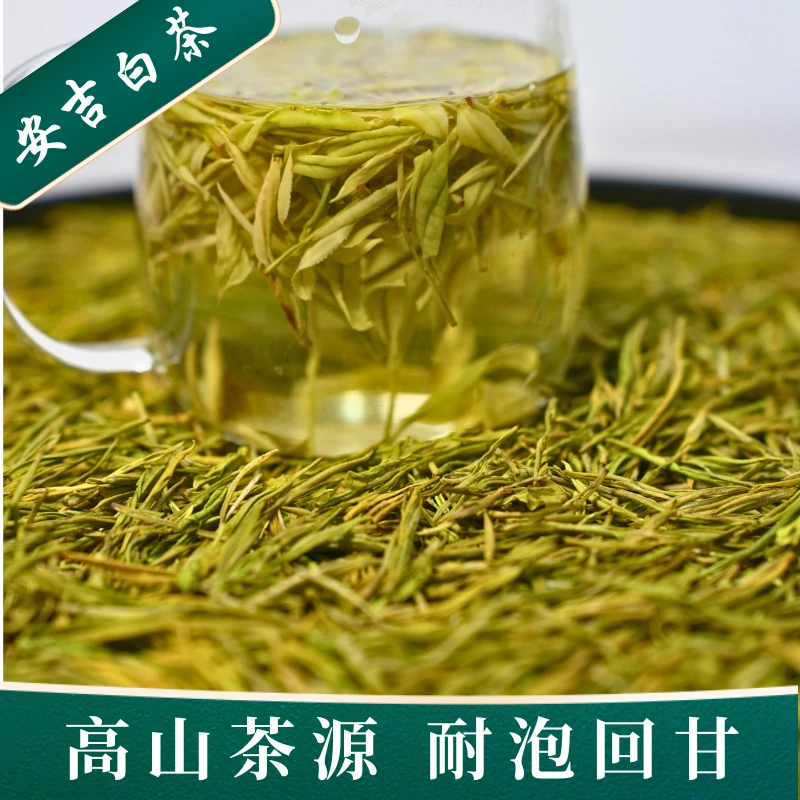 【奶白】安吉白茶五锋山农家茶500g一斤