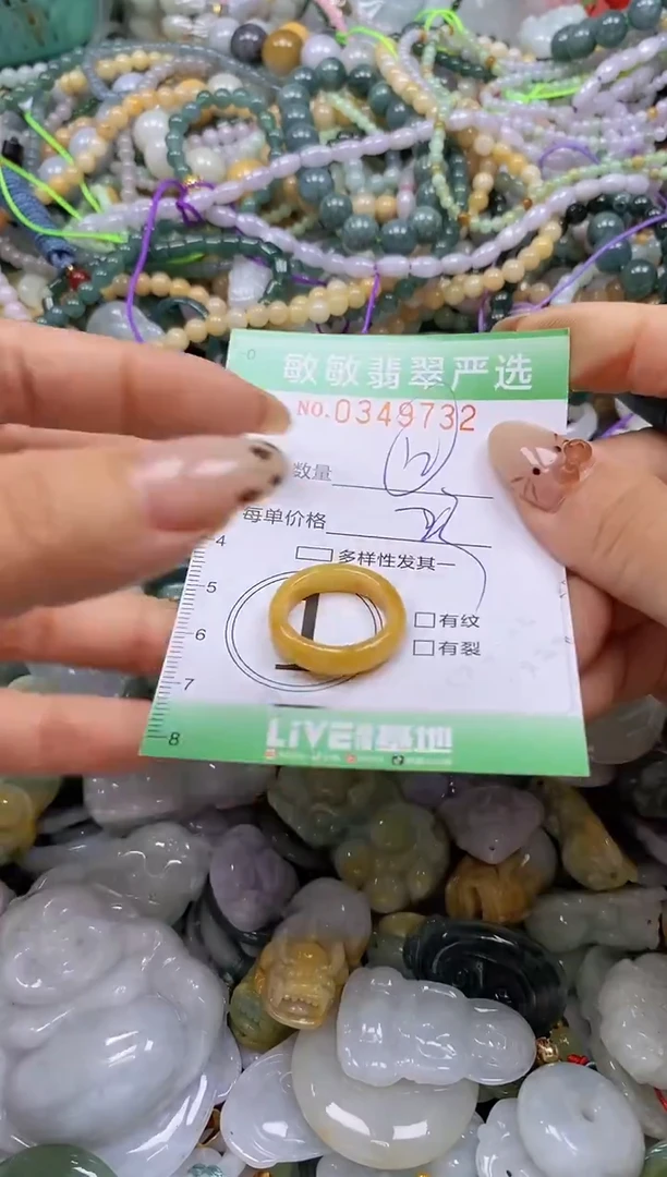 颈饰未镶嵌翡翠闪购0349732
