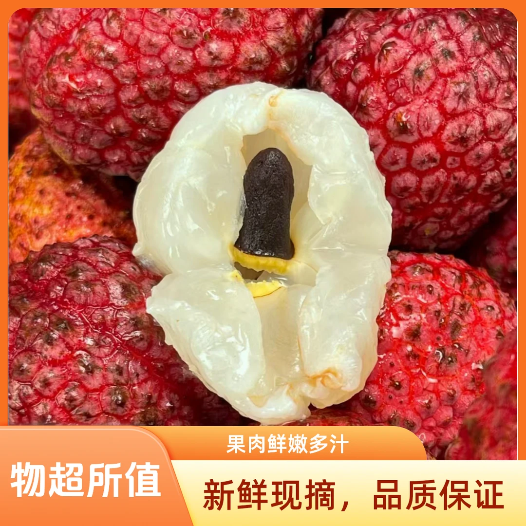 【小荔枝王】小可爱的荔枝王肉厚惊艳到你荔枝同城送