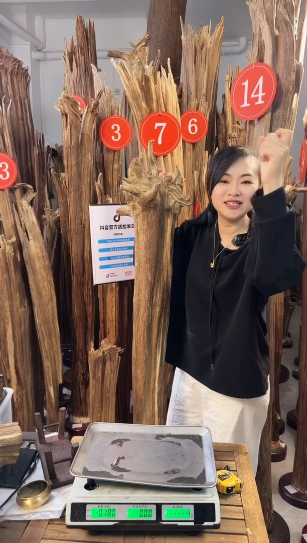 【闪购商品】沉香摆件沉香摆件多样性发一件59