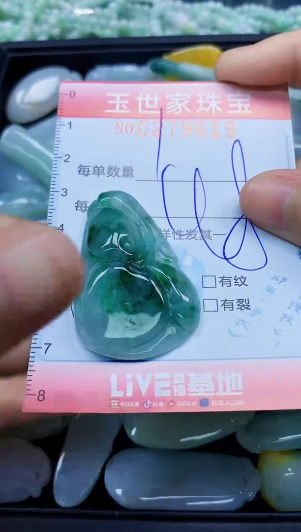 翡翠未镶嵌颈饰闪购0279619