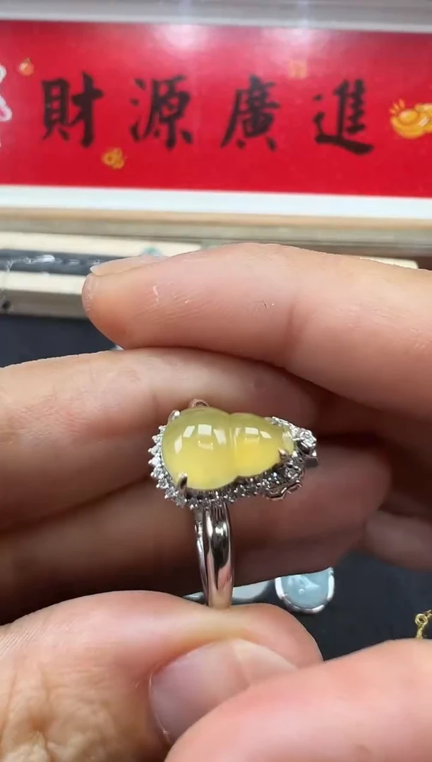 【闪购商品】翡翠颈饰18K金镶嵌勿拍