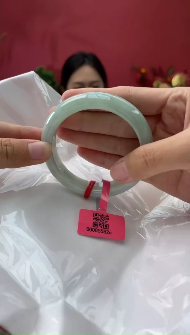 未镶嵌手镯翡翠2