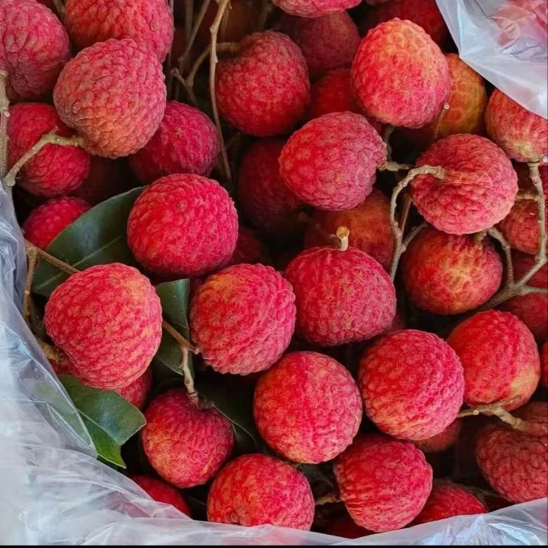 广西贵妃红荔枝王荔枝水石红荔枝稀有品种荔枝武乐镇水石村特产