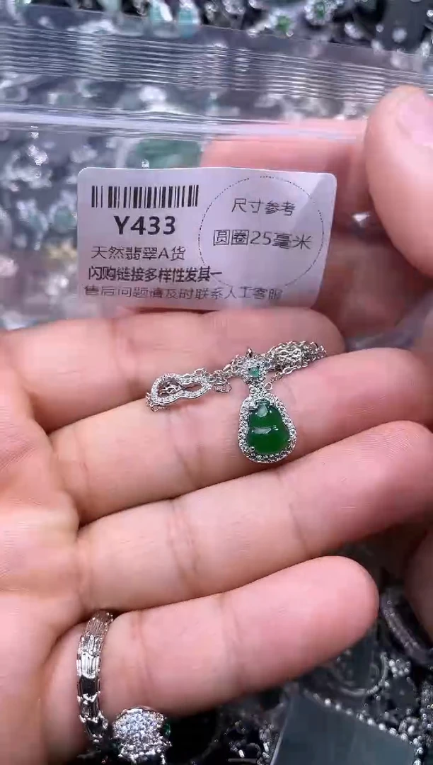 【闪购商品】翡翠颈饰未镶嵌Y433项链