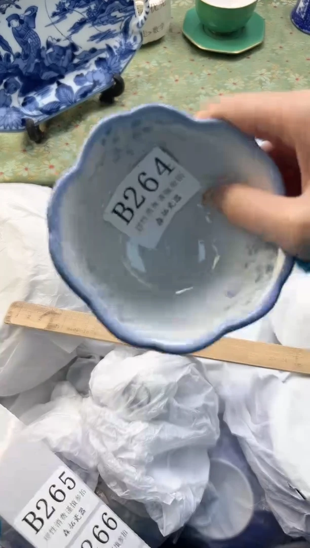 【闪购商品】瓷片          B264