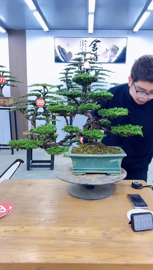 无花朵00000000000000