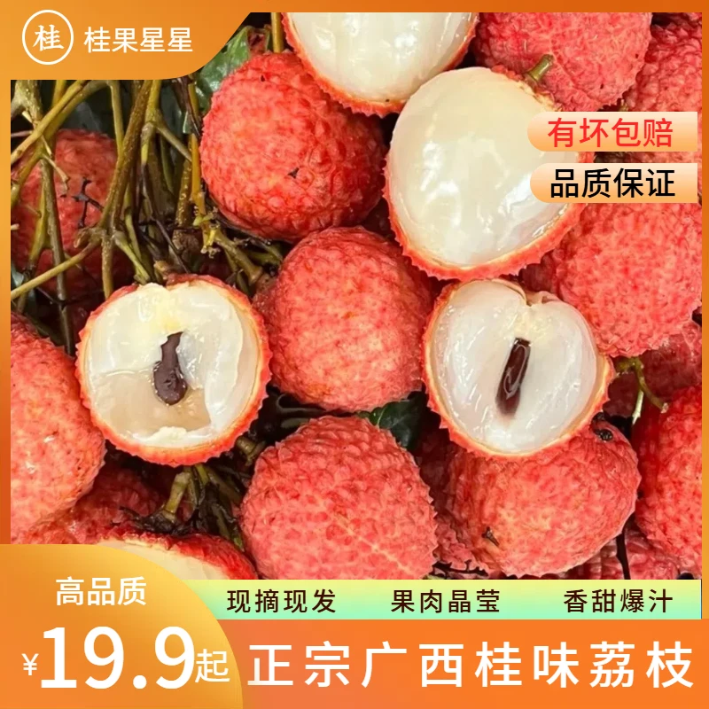 【正宗桂味】广西荔枝冷链锁鲜发货 当天采摘 新鲜孕妈水果