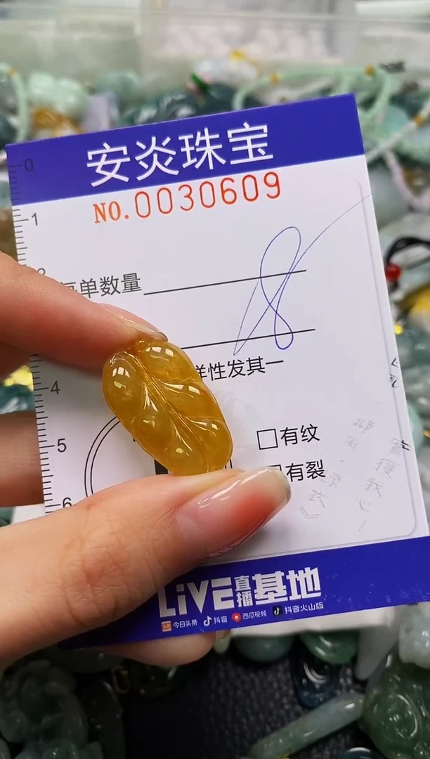 颈饰未镶嵌翡翠闪购0030609