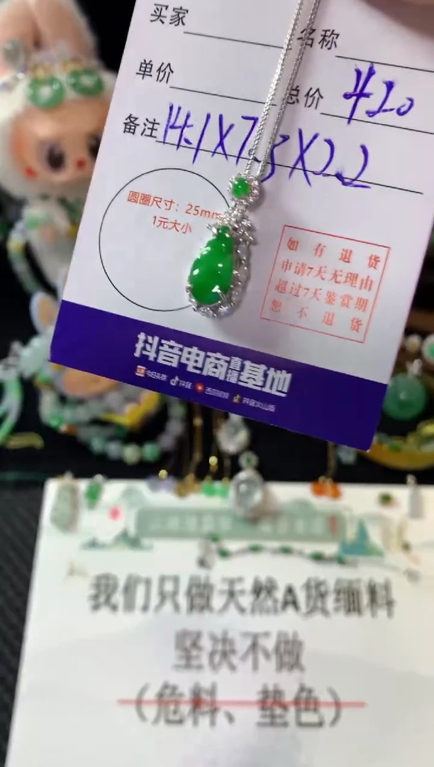 翡翠银S925镶嵌颈饰翡翠