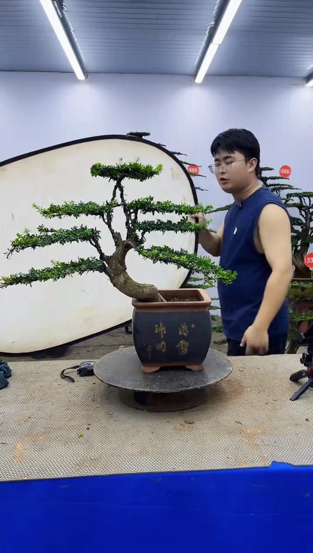 以实际为准一物一拍，所见即所得
