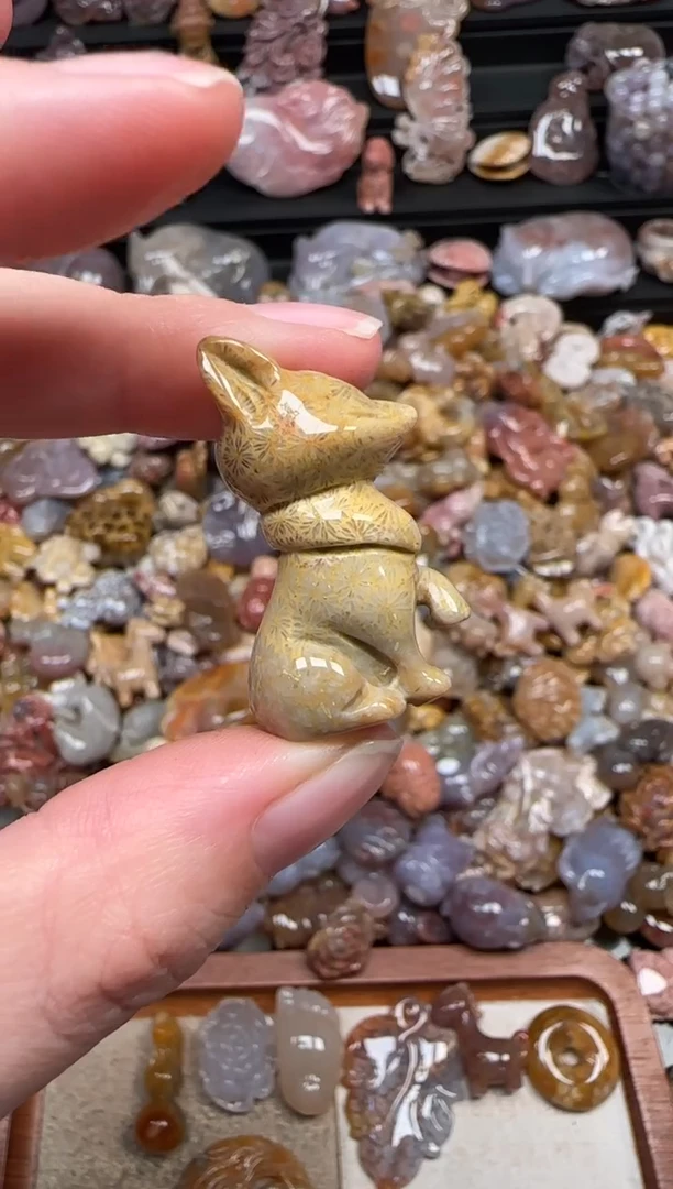 颈饰未镶嵌硅化珊瑚（珊瑚玉）852