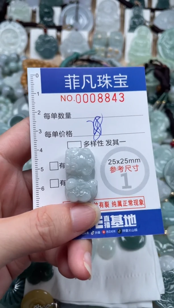翡翠未镶嵌颈饰00..8843
