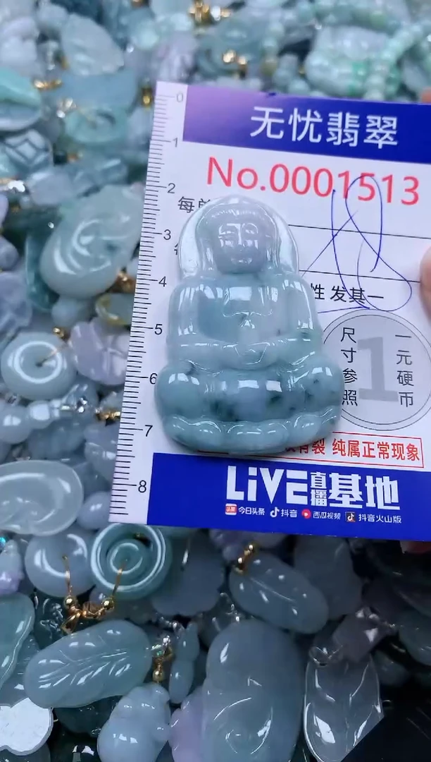 颈饰未镶嵌翡翠1513