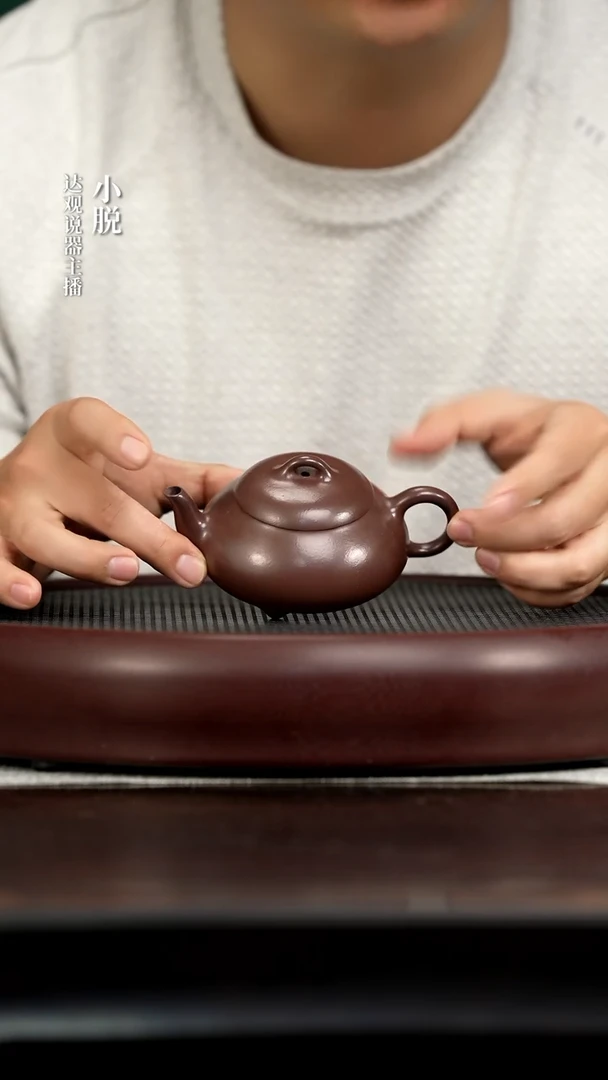 DG169马锡军小汉棠天青160