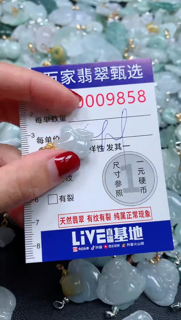 颈饰未镶嵌翡翠9858