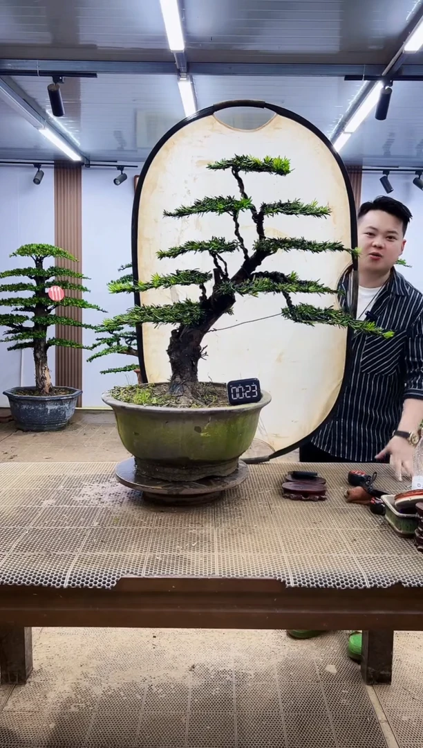 无花朵一物一拍，所见即所得