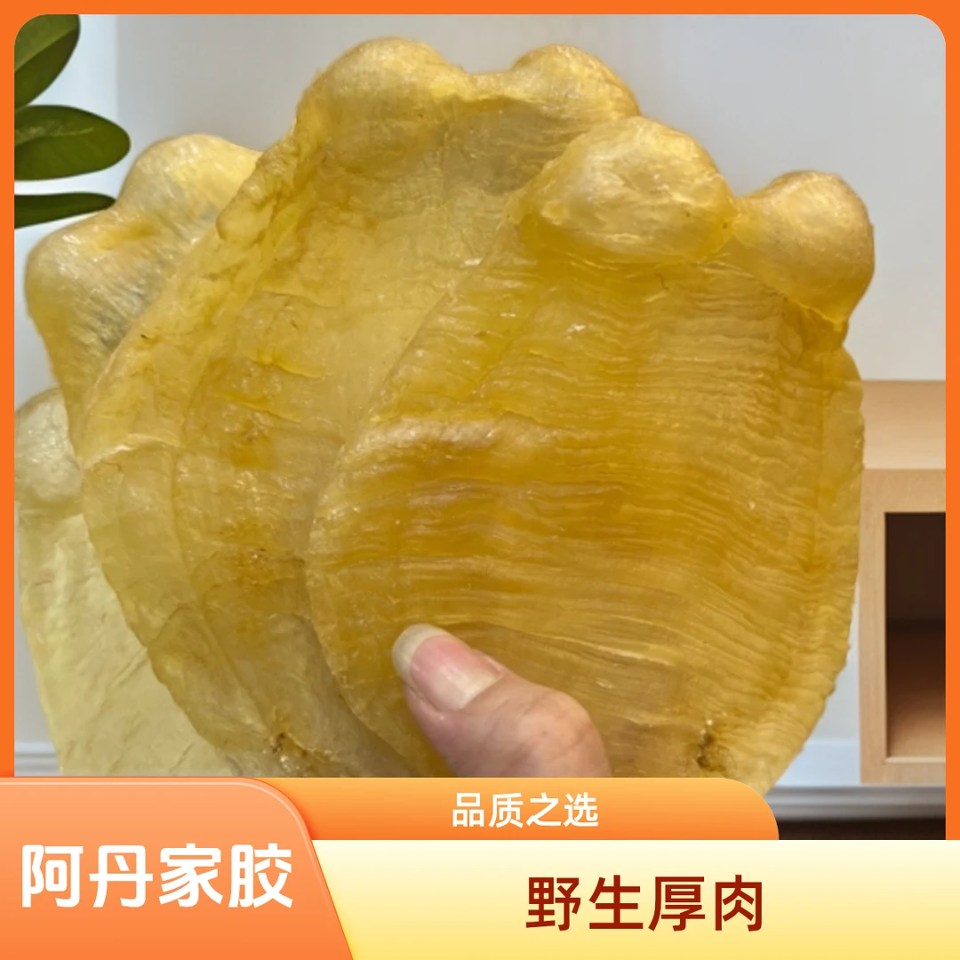 【阿丹家】广东汕头 深海野生厚肉斗湖胶  1-500g